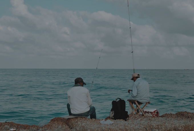 A few important freshwater fish identification tips